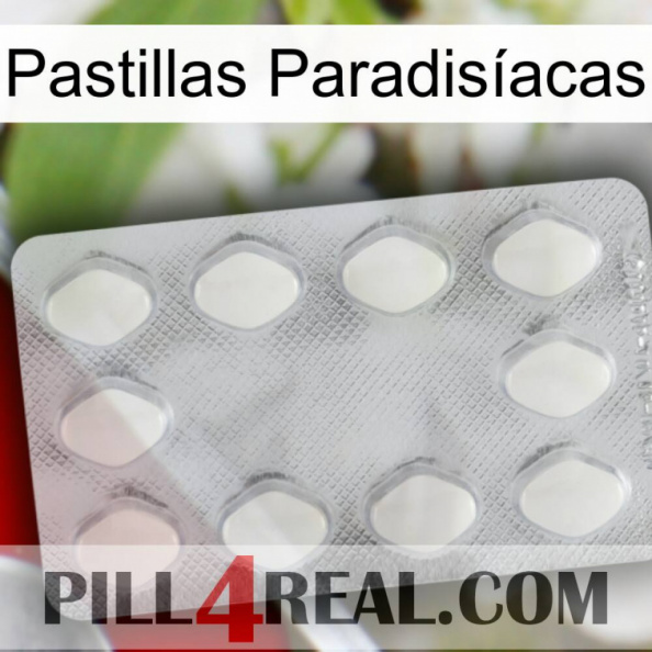 Pastillas Paradisíacas 16.jpg